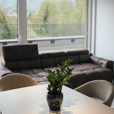 Apartman Prestige Rooftop Viva With Hot Tub Maribor